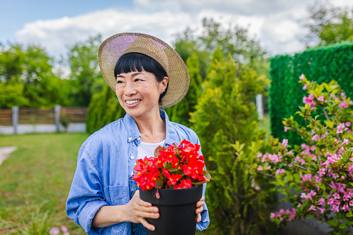 Woman who loves gardening, smiling and holding a flowerpot filled with beautiful red flowers.