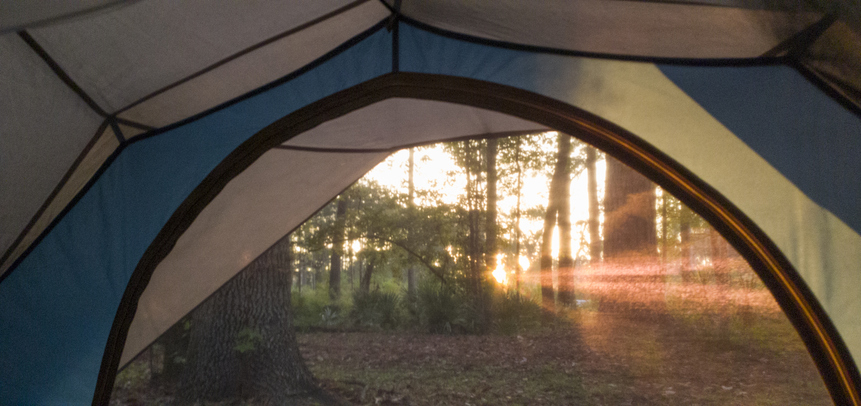 This is a photograph taken on a mobile phone of a sunrise from inside a camping tent in the low country at Yemassee, South Carolina in autumn.